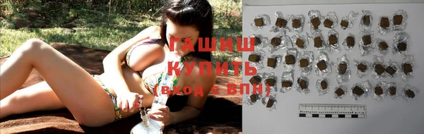 прущие грибы Тында