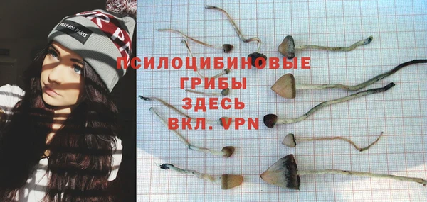 кокс Нея
