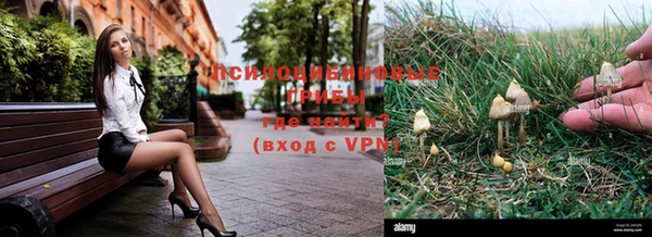 кокс Нефтекумск